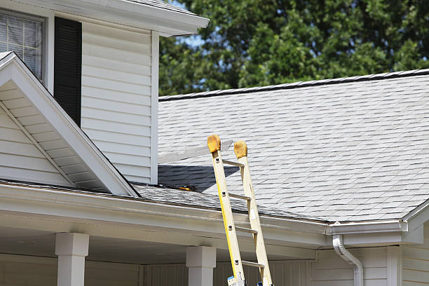 Best Stucco Siding  in Tacoma, WA