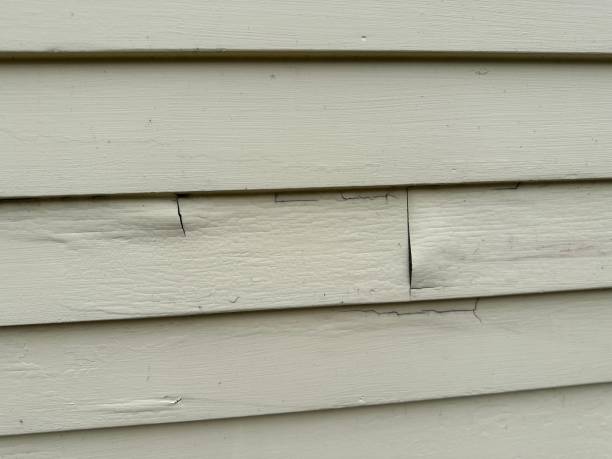 Storm Damage Siding Repair in Tacoma, WA